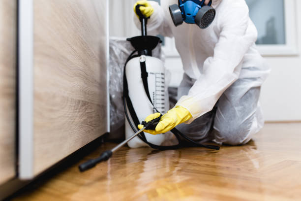  Crystal Springs, MS Pest Control Pros