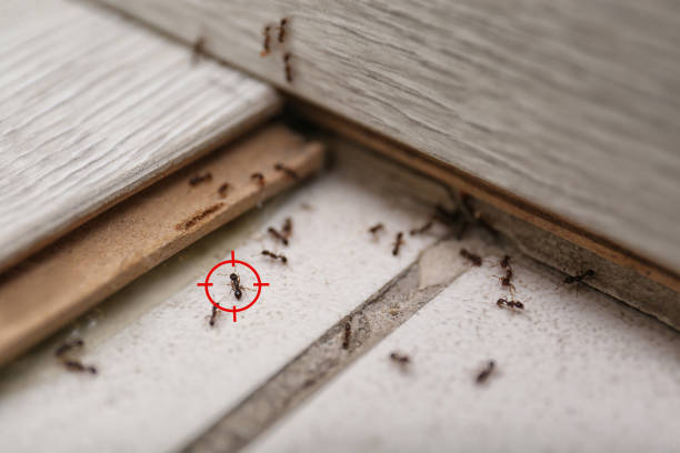 Best Wildlife Control Services  in Crystal Springs, MS