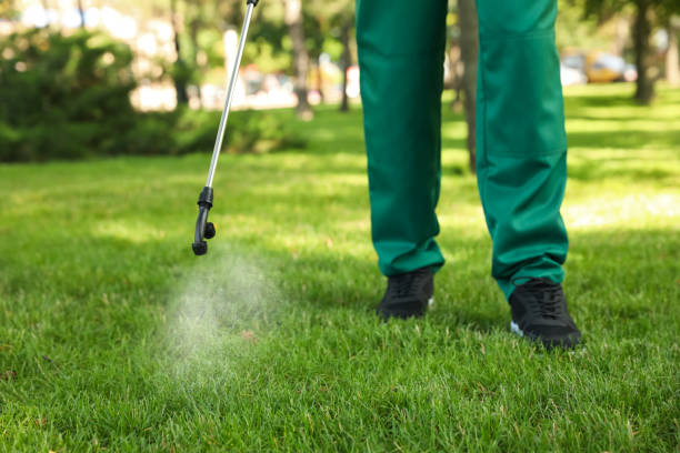 Best Best Pest Control Companies  in Crystal Springs, MS
