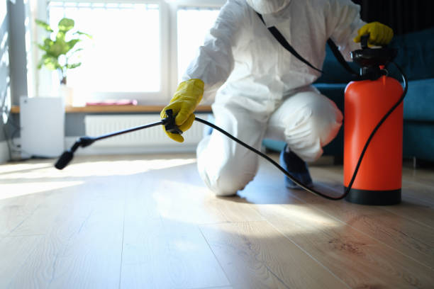 Best Flea Control Services  in Crystal Springs, MS