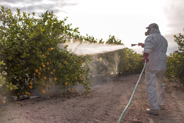 Best Exterminator Services  in Crystal Springs, MS