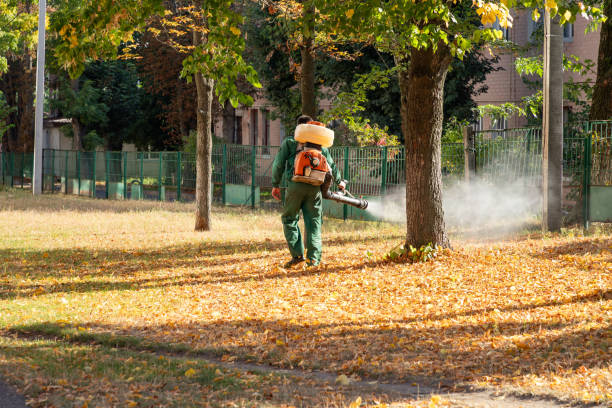 Best Mosquito Control Services  in Crystal Springs, MS