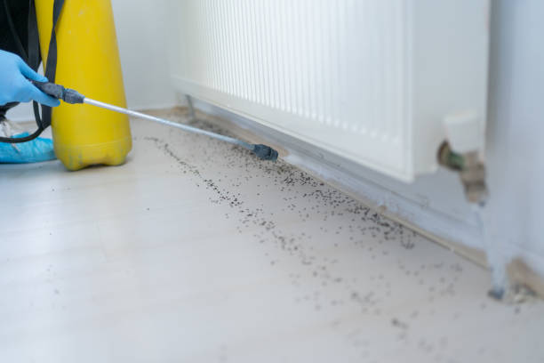 Pest Prevention Services in Crystal Springs, MS