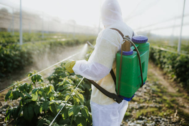 Best Pest Control for Homes  in Crystal Springs, MS